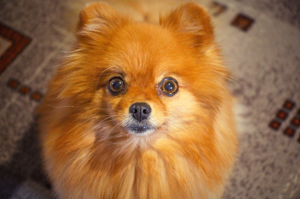 Photograph by Наталья Баруля