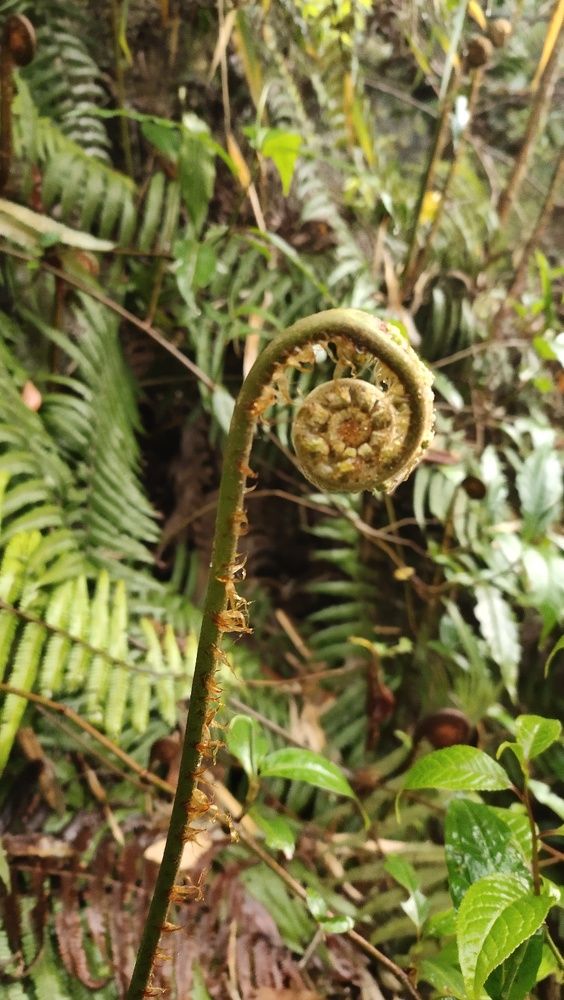 Photo #7605125