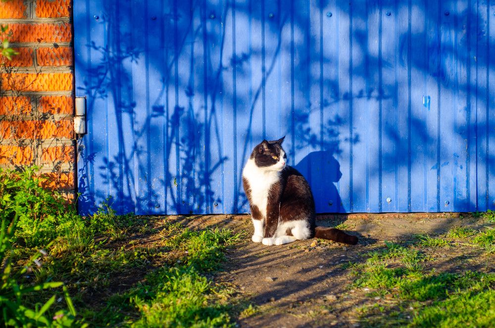 Photograph by Редько Александр