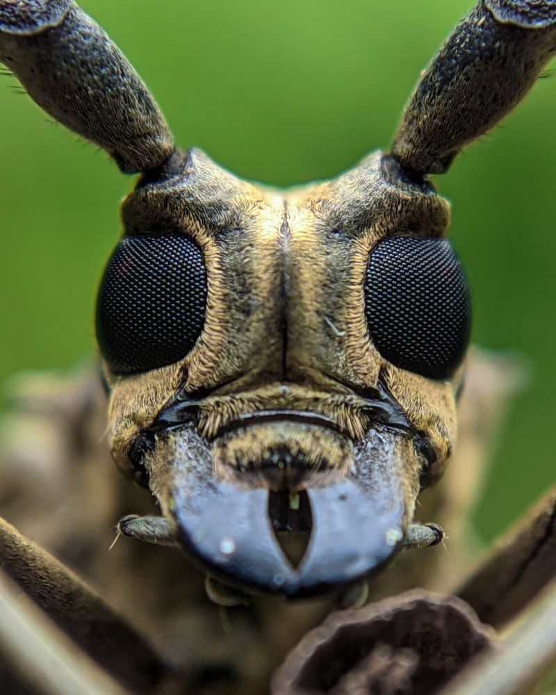 Photograph by Ajeesh A