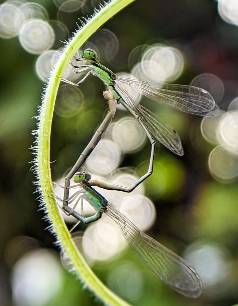 Photograph by Ajeesh A