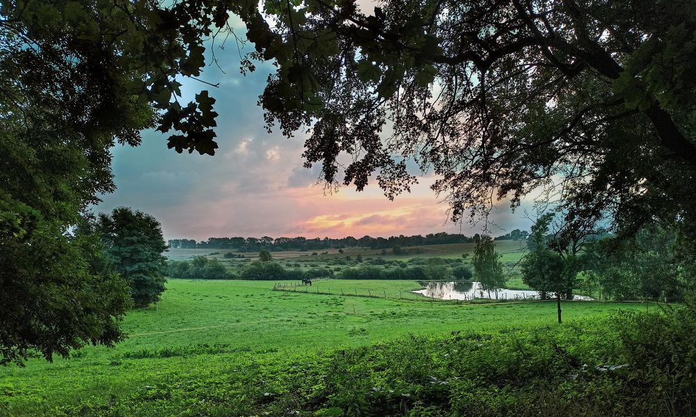 Photograph by Лукашук Евгений