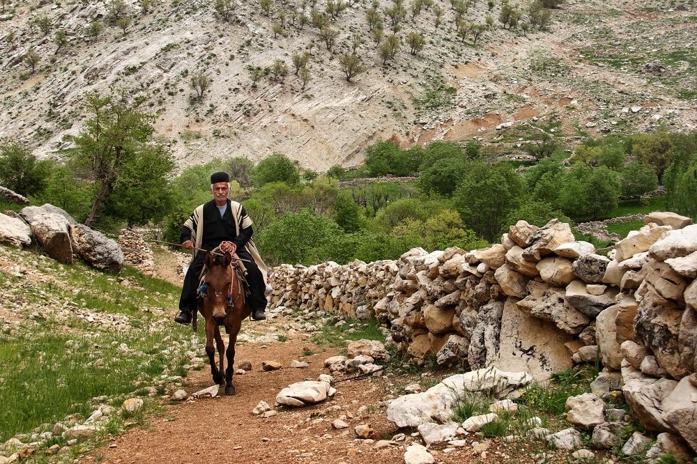 Фотография автора Emamian