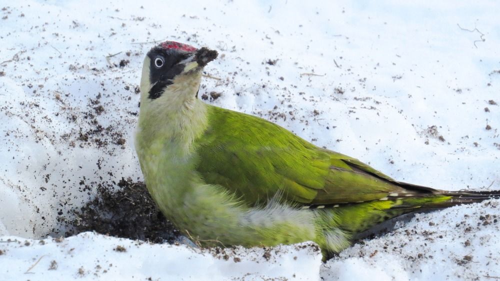 Photograph by Елена