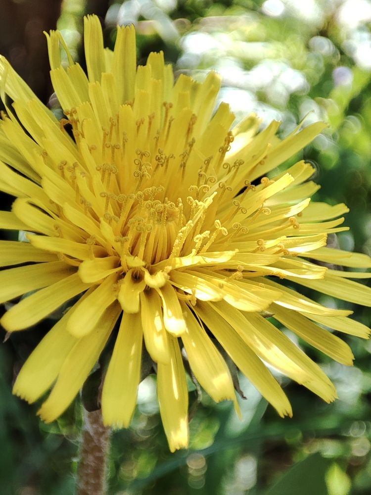 Photograph by DARIA DEMINA