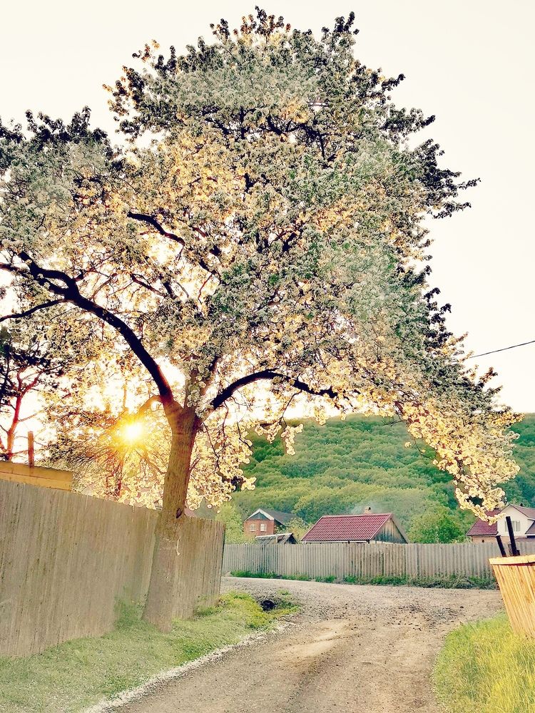 Photograph by Albina Kalistratova