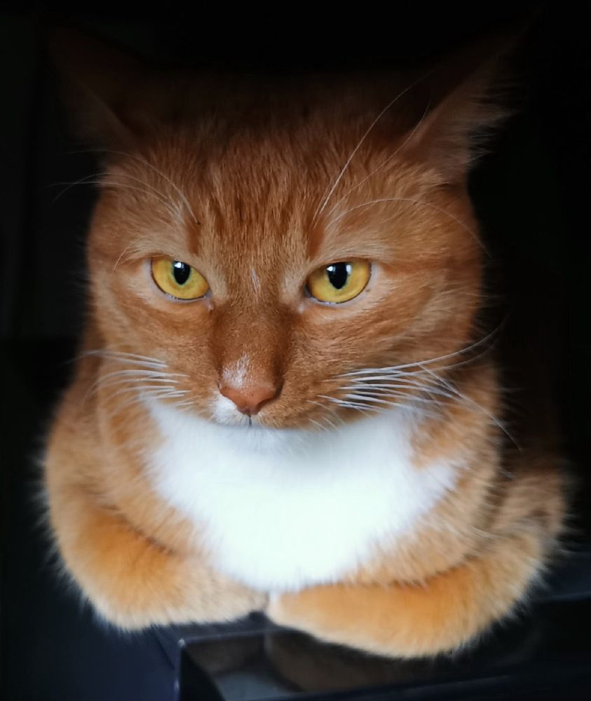 Photograph by Елена Миронова