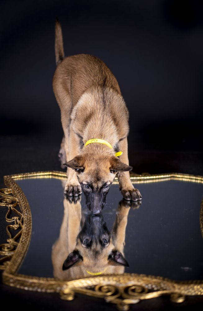 Photograph by Luca Gandin