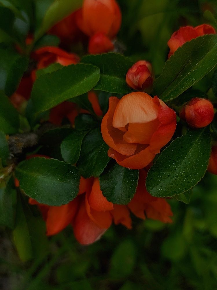Photograph by Екатерина Мосевич