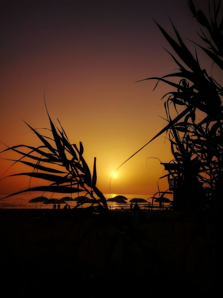 Photograph by Nicholas Tsangarides