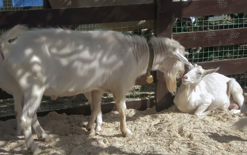 Photograph by Алексей Патлах