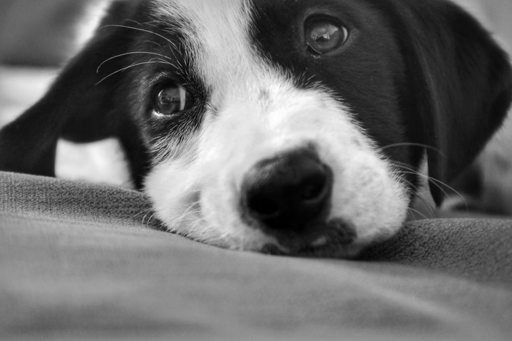 Photograph by Nicholas Tsangarides