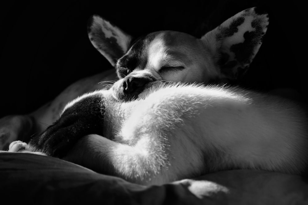 Photograph by Nicholas Tsangarides