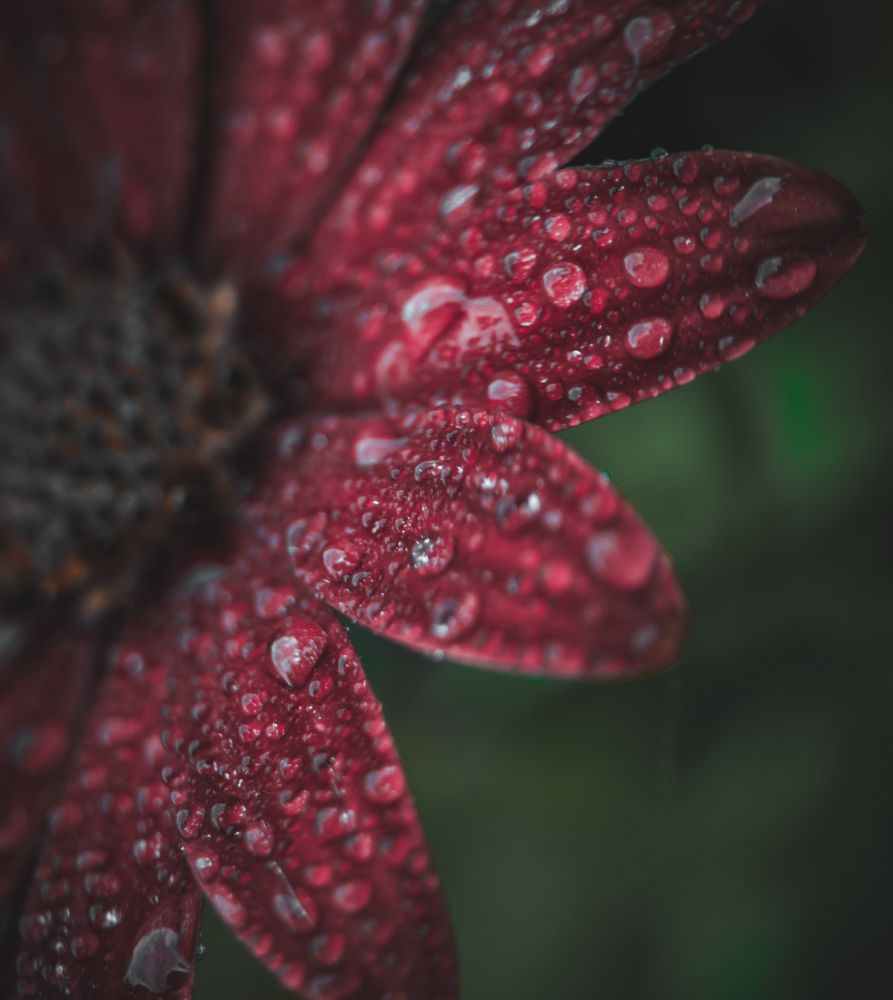 Photograph by Павло Юрасюк