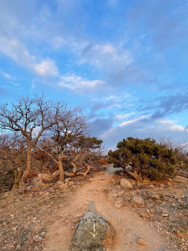 Photograph by Наталья Кузина