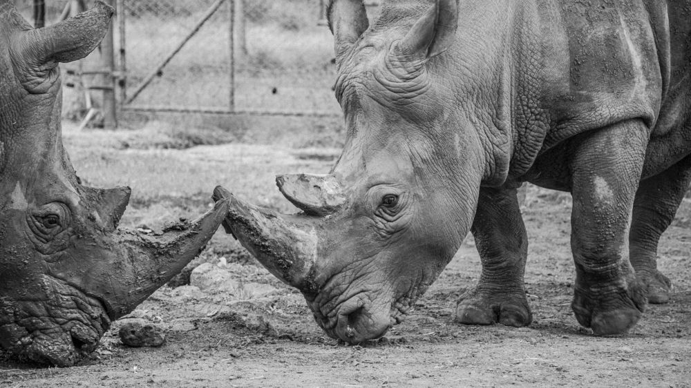 Photograph by Наталья Кокорина