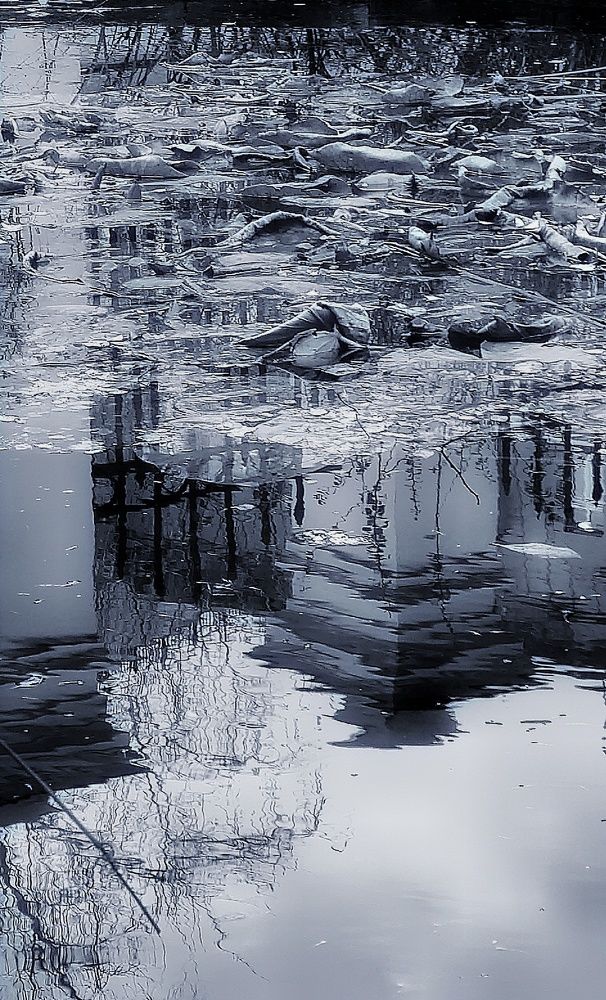 Photograph by Александр Гордиенко