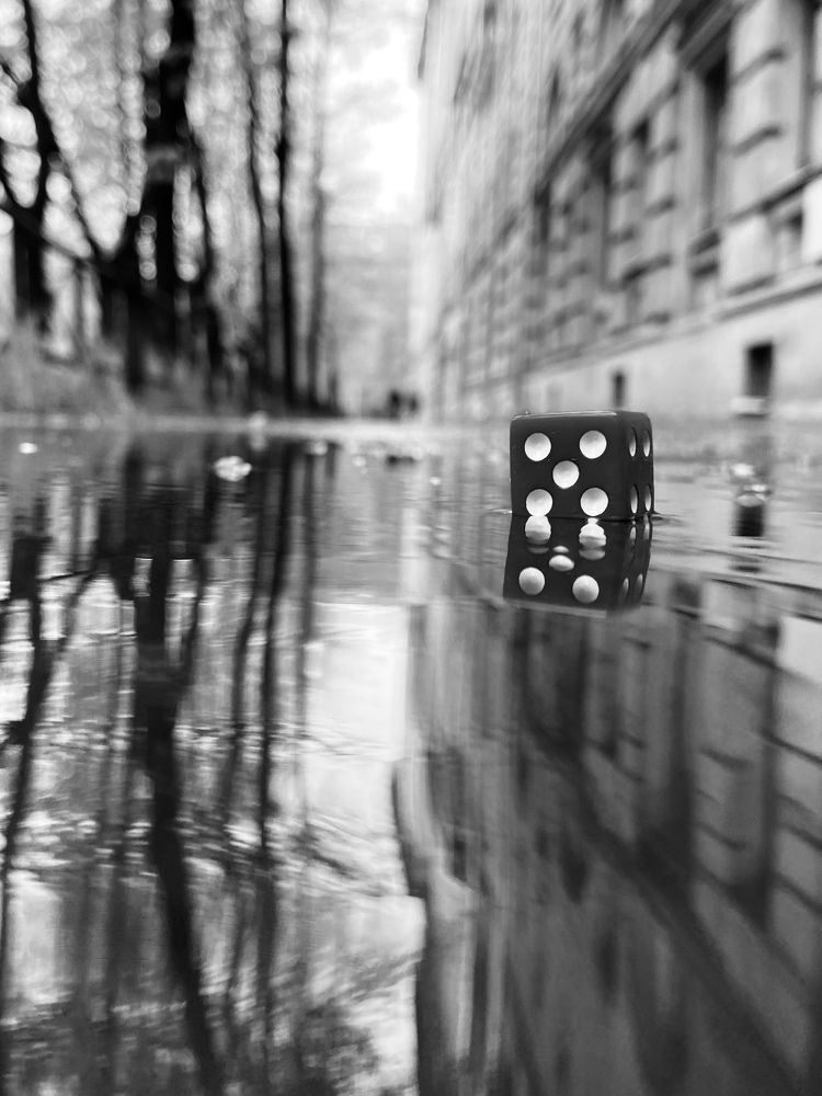 Фотография автора Анна Могилева