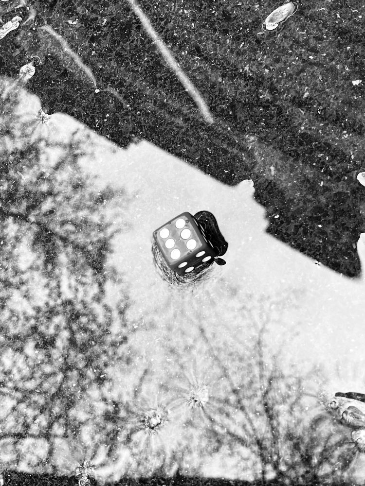 Фотография автора Анна Могилева