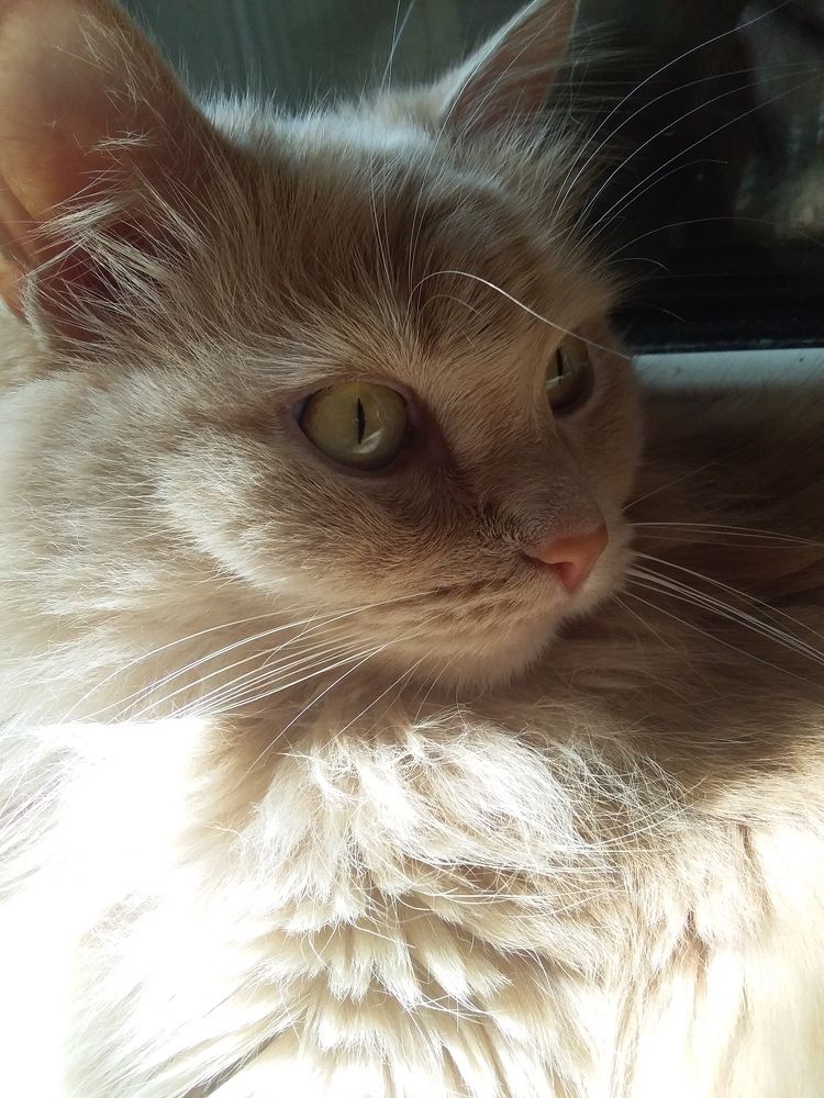 Photograph by Анастасия Кичигина