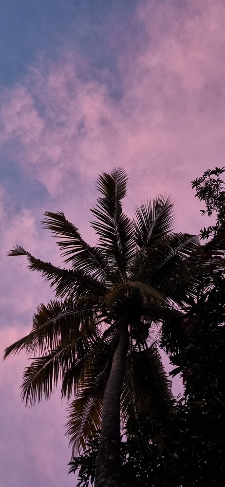 Photograph by Abhijith V.L