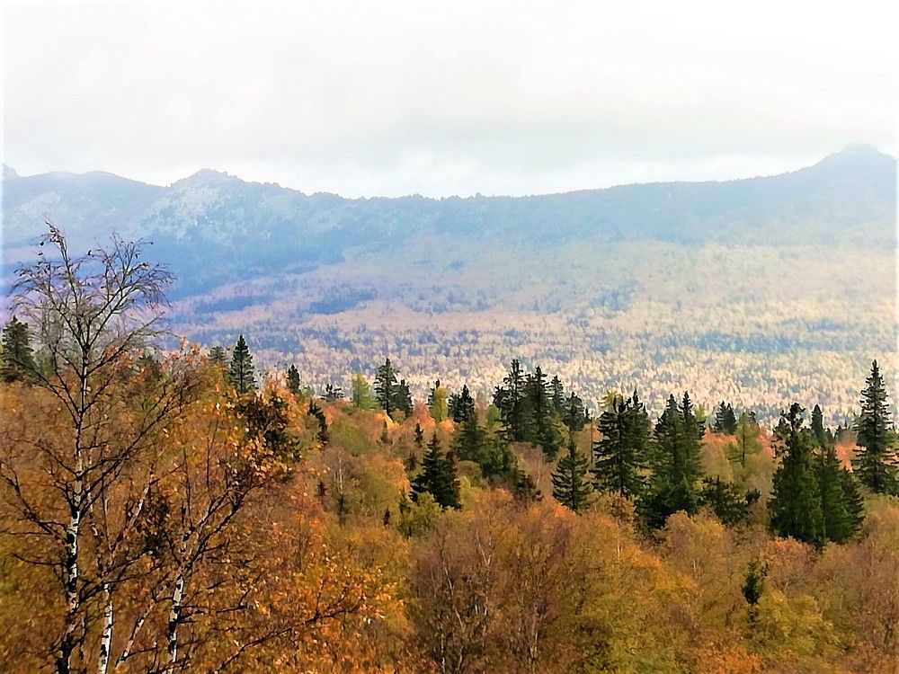 Photograph by Галина