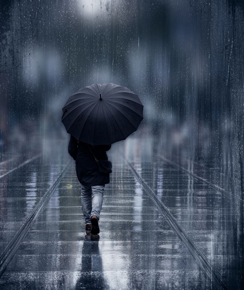 Фотография автора David Chiodo