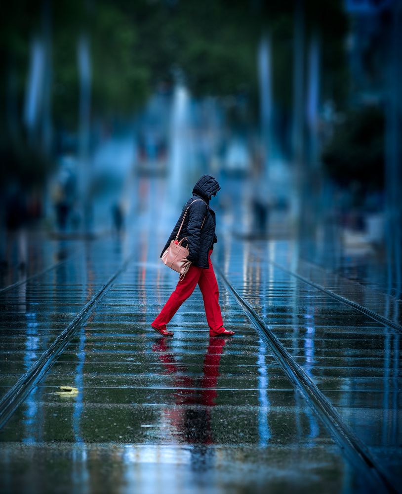 Photograph by David Chiodo