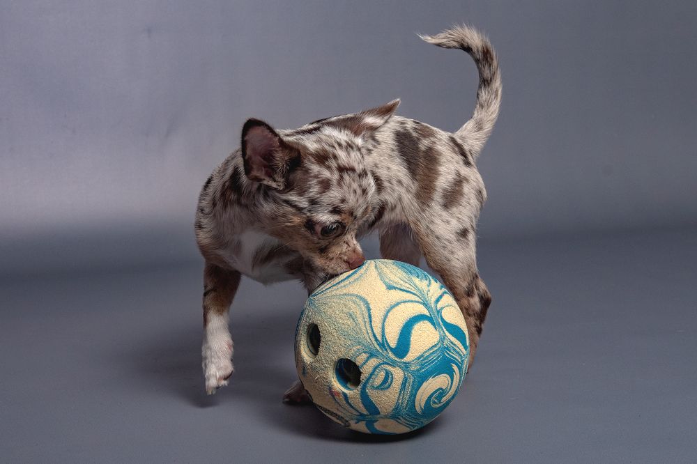 Photograph by Демьян Лопатов