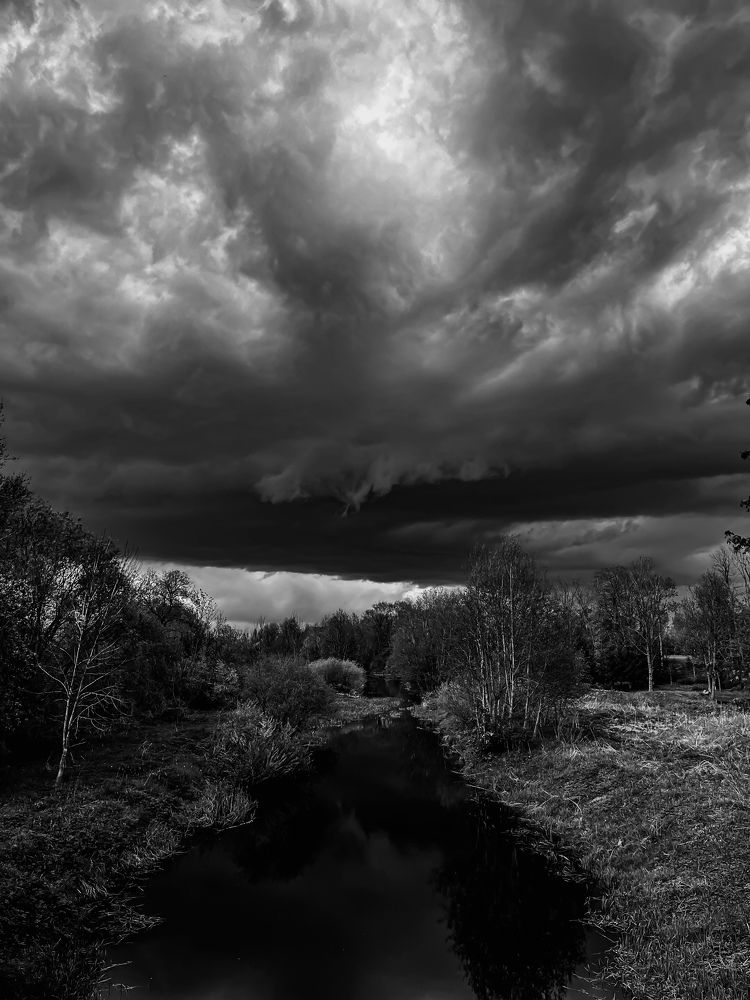 Photograph by Daniel Saikovsky