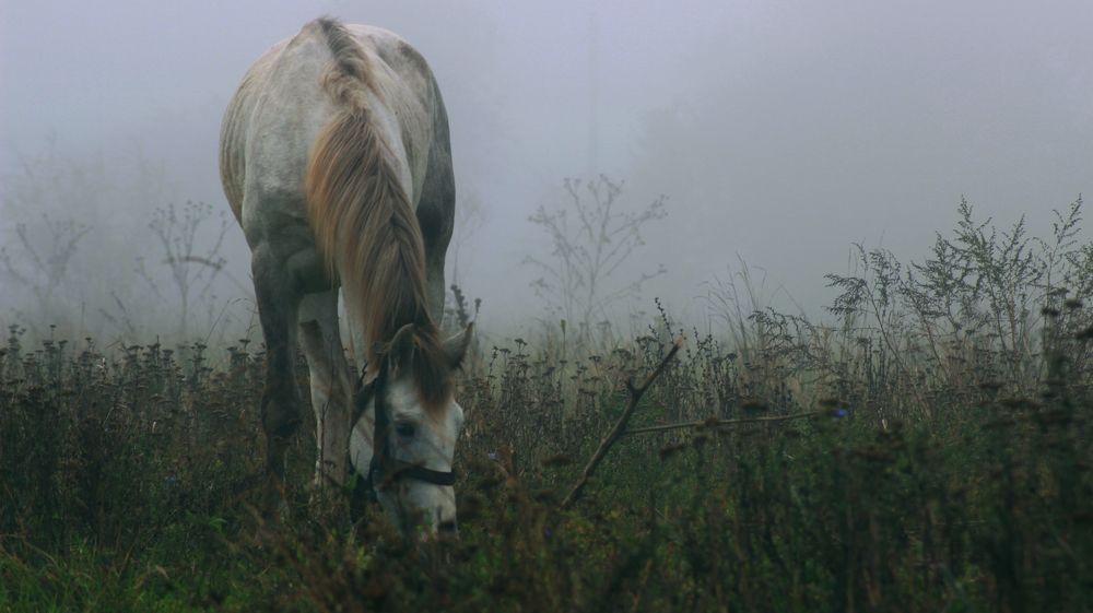 Photograph by Вадим Буцыкин
