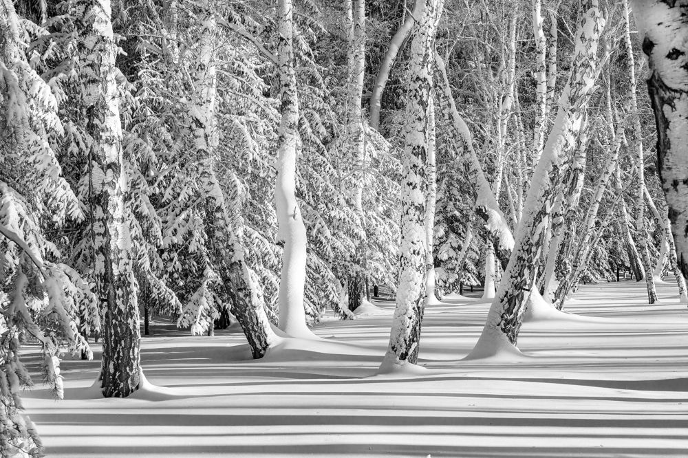 Мороз и солнце день чудесный!