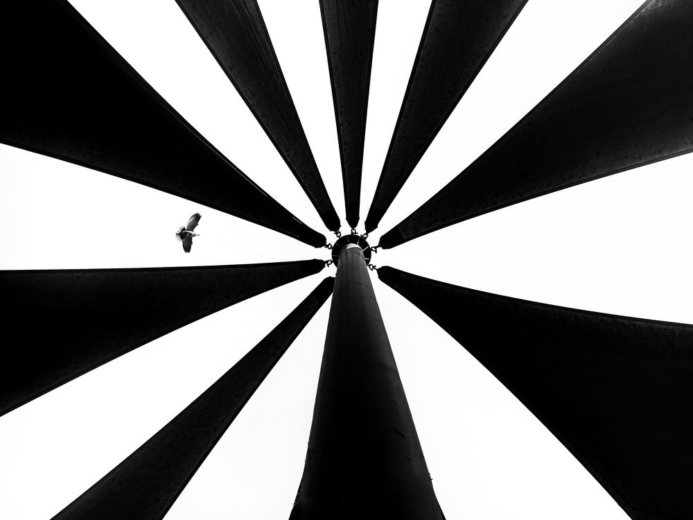 Photograph by Abhilash Thamattoor