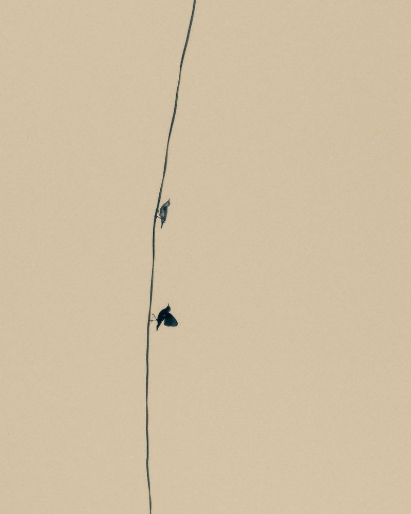 Photograph by Mahaveer singh Mahi