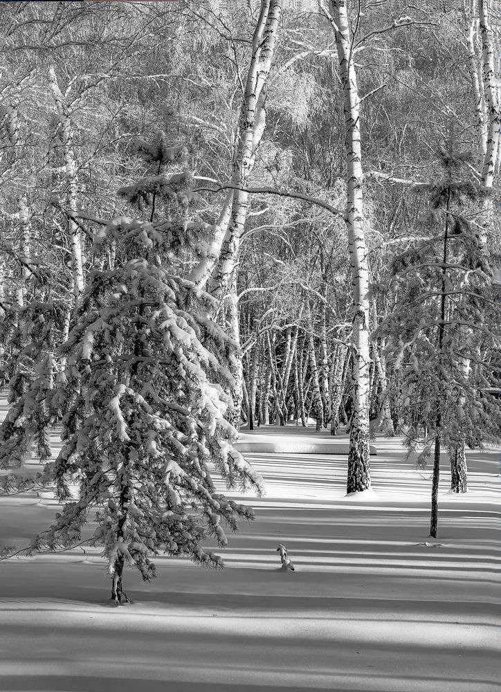 Photograph by Иван Логвинов