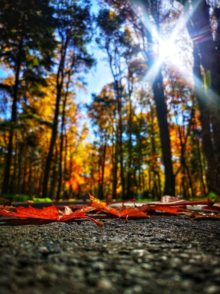 Photograph by Виолетта Беккер