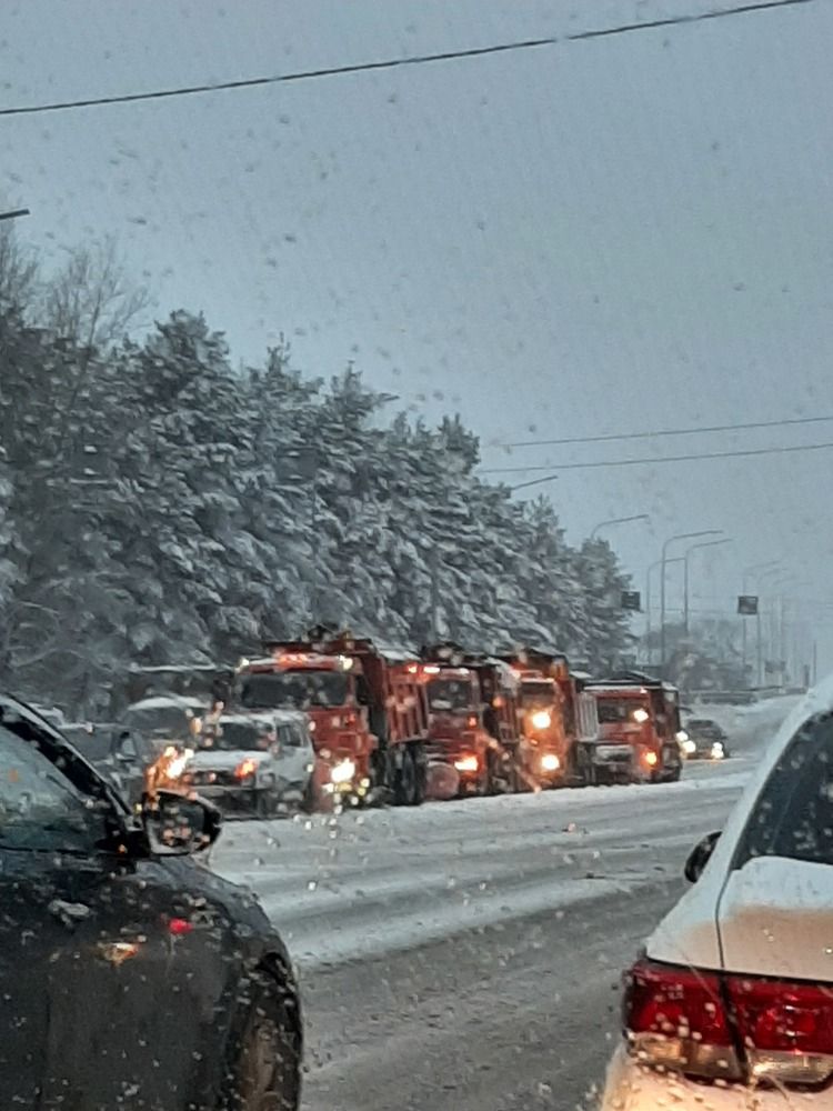 Photograph by Наталия