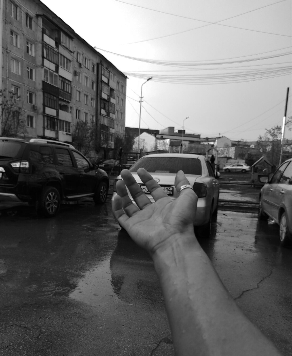 Photo #7605721