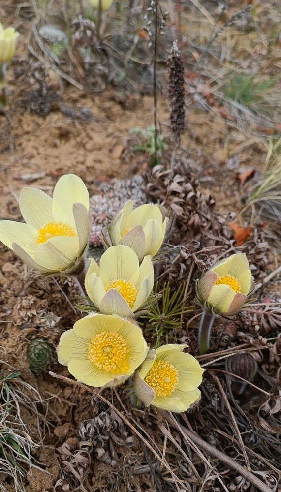 Photograph by Женя Евсеева