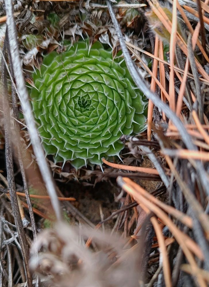 Photograph by Женя Евсеева