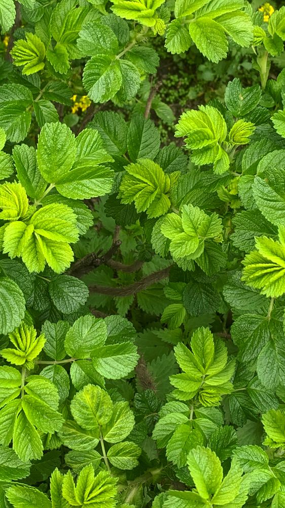 Photograph by Алексей Ханыков