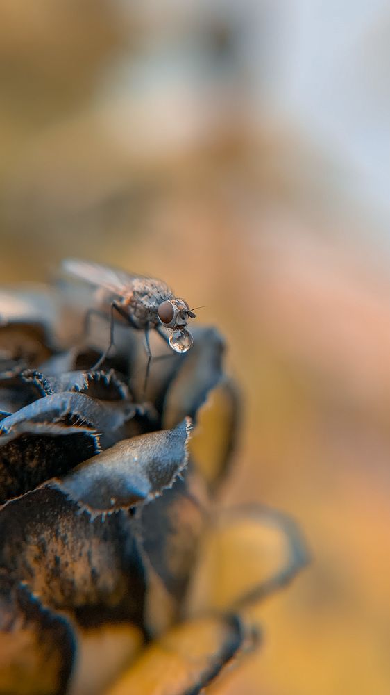 Photograph by Наталья Ключинская
