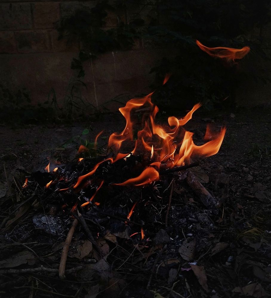 Фотография автора MEVIN KANISHKAR