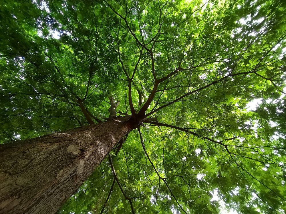 Фотография автора MEVIN KANISHKAR