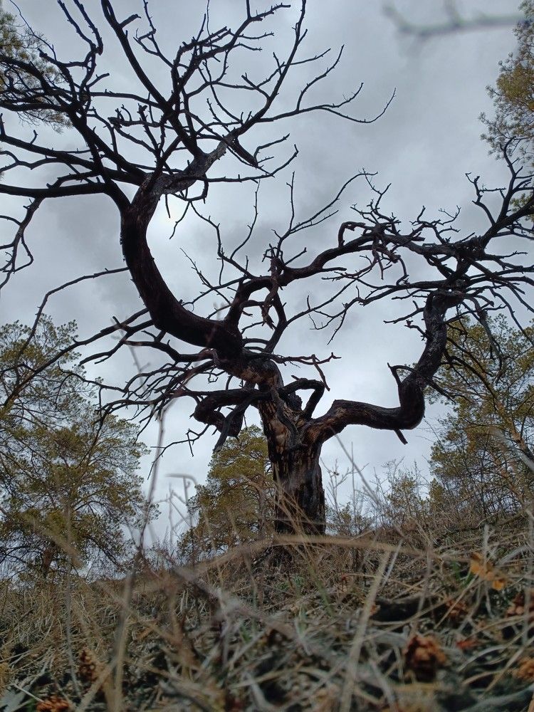 Photograph by Женя Евсеева