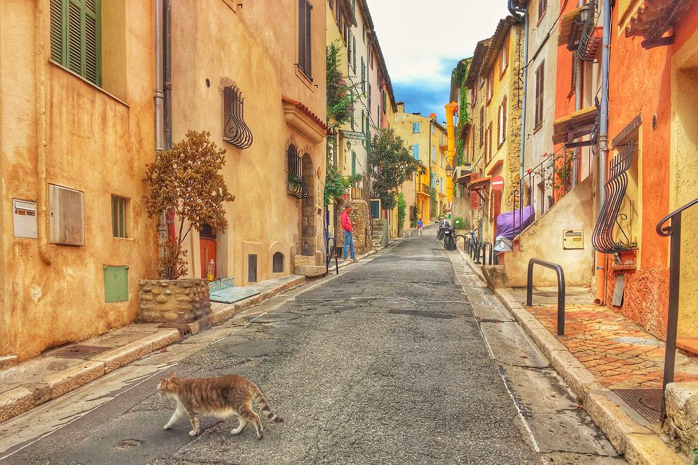 Photograph by Ирина Худзинская