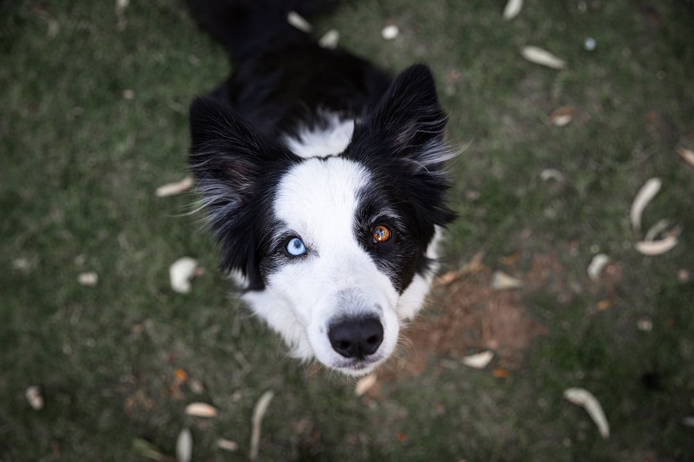 Photograph by Timur Korotkov