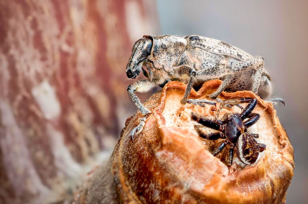 Photograph by Юрий Яковлевич