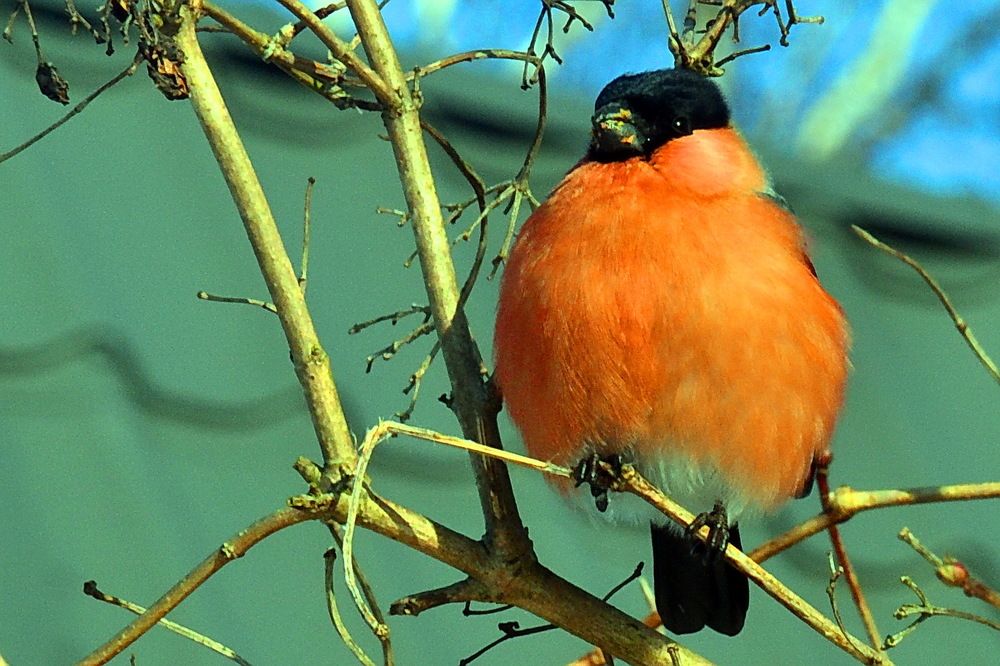 Photograph by Дмитрий Волков