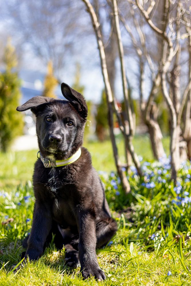 Photograph by Mariko